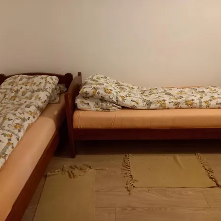 Medju Borovima Vinci