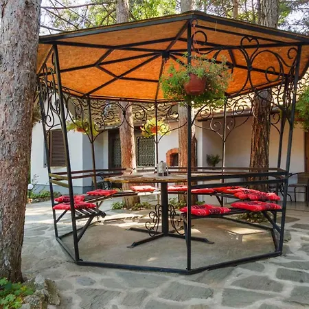 Medju Borovima 아파트 *